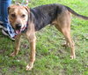 Seuss-ADOPTED 09.21.13