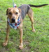 Seuss-ADOPTED 09.21.13
