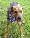 Seuss-ADOPTED 09.21.13