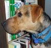 Seuss-ADOPTED 09.21.13
