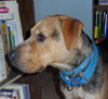 Seuss-ADOPTED 09.21.13