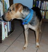 Seuss-ADOPTED 09.21.13
