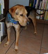 Seuss-ADOPTED 09.21.13