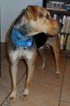 Seuss-ADOPTED 09.21.13