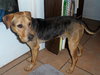 Seuss-ADOPTED 09.21.13