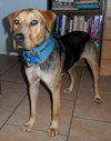 Seuss-ADOPTED 09.21.13