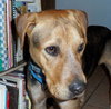 Seuss-ADOPTED 09.21.13