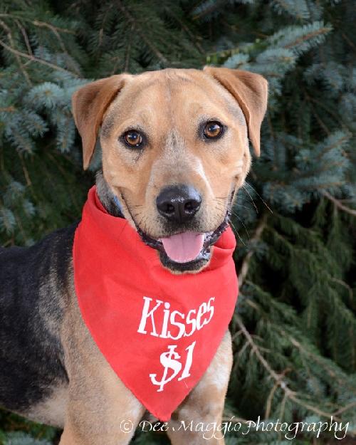 Seuss-ADOPTED 09.21.13