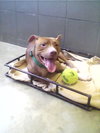 RJ - ADOPTED 02.16.14