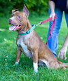 RJ - ADOPTED 02.16.14