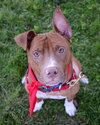 RJ - ADOPTED 02.16.14
