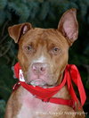 RJ - ADOPTED 02.16.14