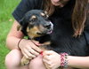 Ii Litter Wilbur - ADOPTED 08.12.13