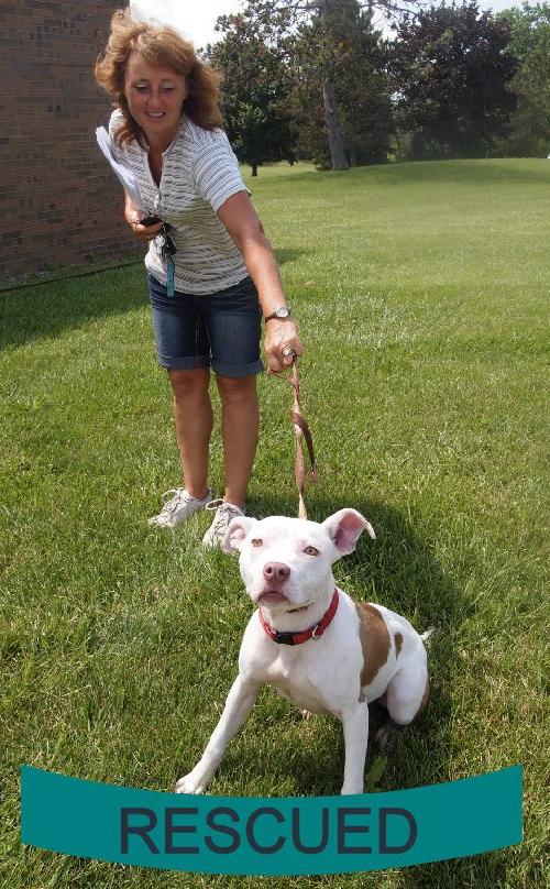 Piglet - ADOPTED 07.20.13