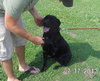 Roy-ADOPTED 08.14.13