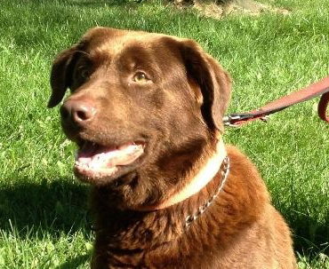 Tucker-CP-ADOPTED
