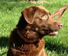 Tucker-CP-ADOPTED