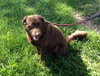 Tucker-CP-ADOPTED