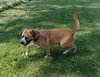 Winston-ADOPTED 08.21.13