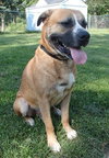 Winston-ADOPTED 08.21.13