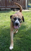 Winston-ADOPTED 08.21.13