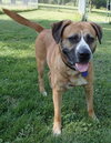Winston-ADOPTED 08.21.13