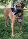 Winston-ADOPTED 08.21.13