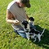 Pi Litter Fee - ADOPTED 08.24.13