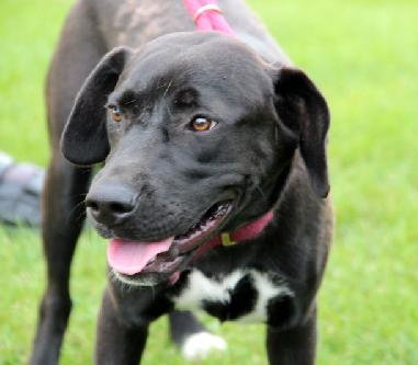 Summer-ADOPTED 09.02.13
