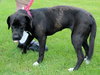 Summer-ADOPTED 09.02.13