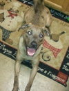 Quinn-ADOPTED 12.06.13