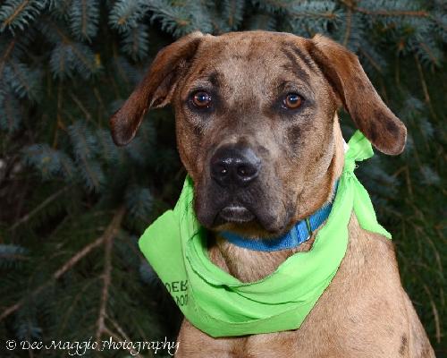 Quinn-ADOPTED 12.06.13