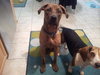 Quinn-ADOPTED 12.06.13