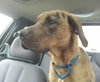 Quinn-ADOPTED 12.06.13