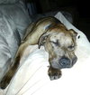 Quinn-ADOPTED 12.06.13