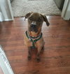 Quinn-ADOPTED 12.06.13