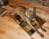 Quinn-ADOPTED 12.06.13