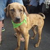 Quinn-ADOPTED 12.06.13