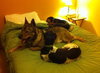 Monty - ADOPTED (Missing Contract)