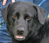 Donovan-ADOPTED 10.22.13