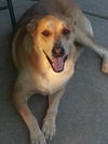 Fergie-ADOPTED 10.12.13