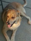Fergie-ADOPTED 10.12.13