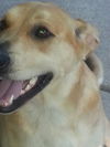 Fergie-ADOPTED 10.12.13