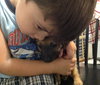 Ri Litter Ester - ADOPTED 09.07.13