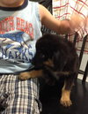 Ri Litter Jean - ADOPTED 09.06.13