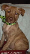 Si Litter Soda - ADOPTED 2.22.15