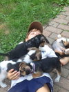 Ti Litter Timone - ADOPTED 10.22.13