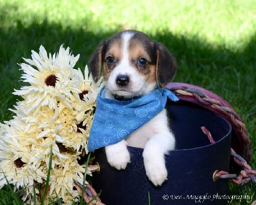 Ti Litter Justice - ADOPTED 10.19.13