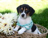 Ti Litter Sky - ADOPTED 10.13.13