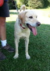 Trinity-ADOPTED 09.14.13